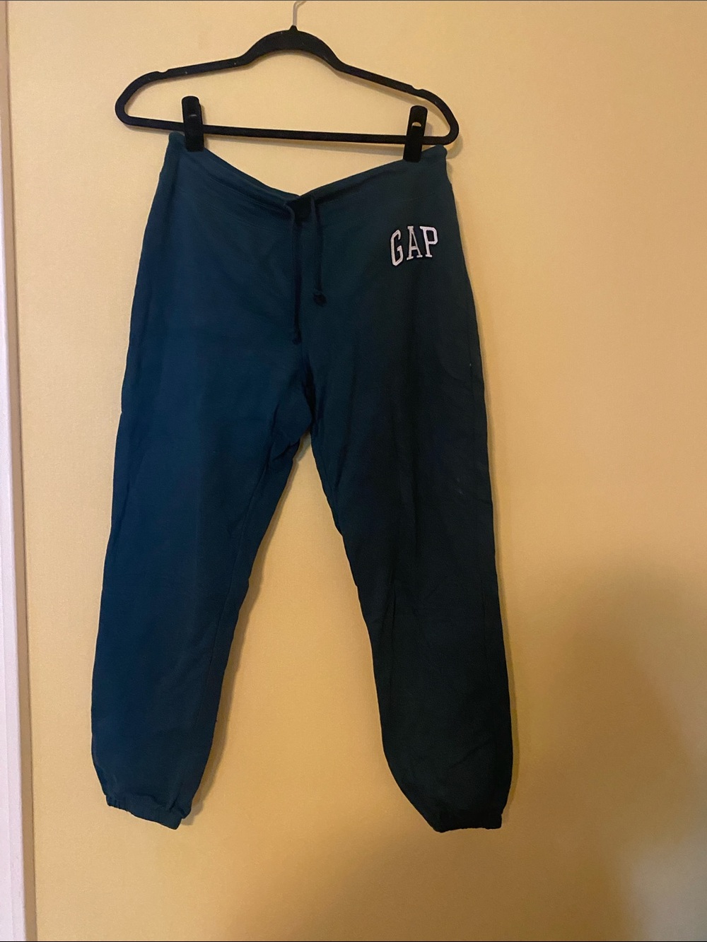 GAP Women’s Teal Drawstring Sweatpants